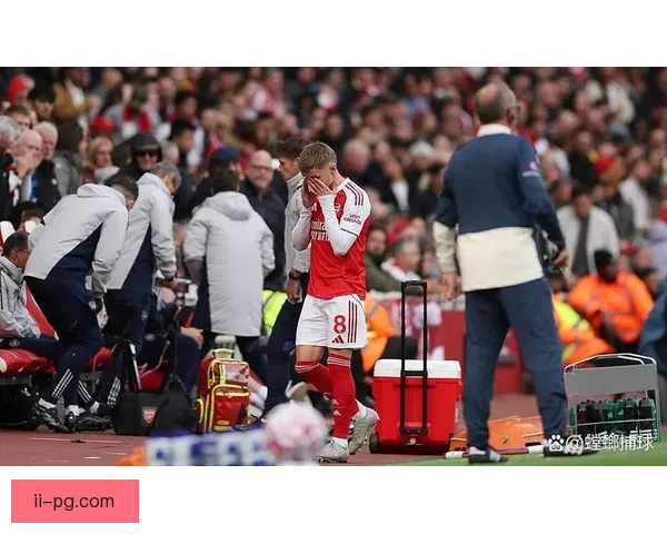 厄德高因脚踝受伤将缺阵数月 对阿森纳阵容造成重大影响